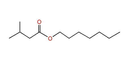 Heptyl 3-methylbutanoate